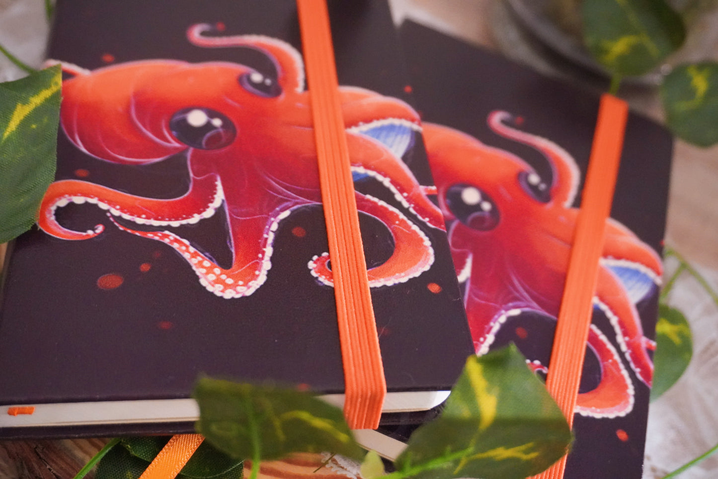 Carnet Octopus