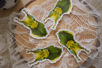 Sticker Chenilli